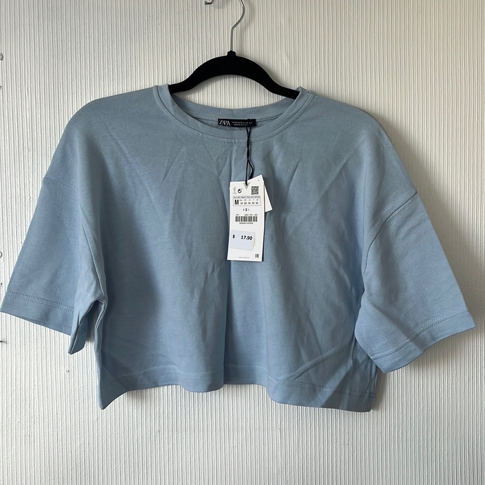 Zara crop top